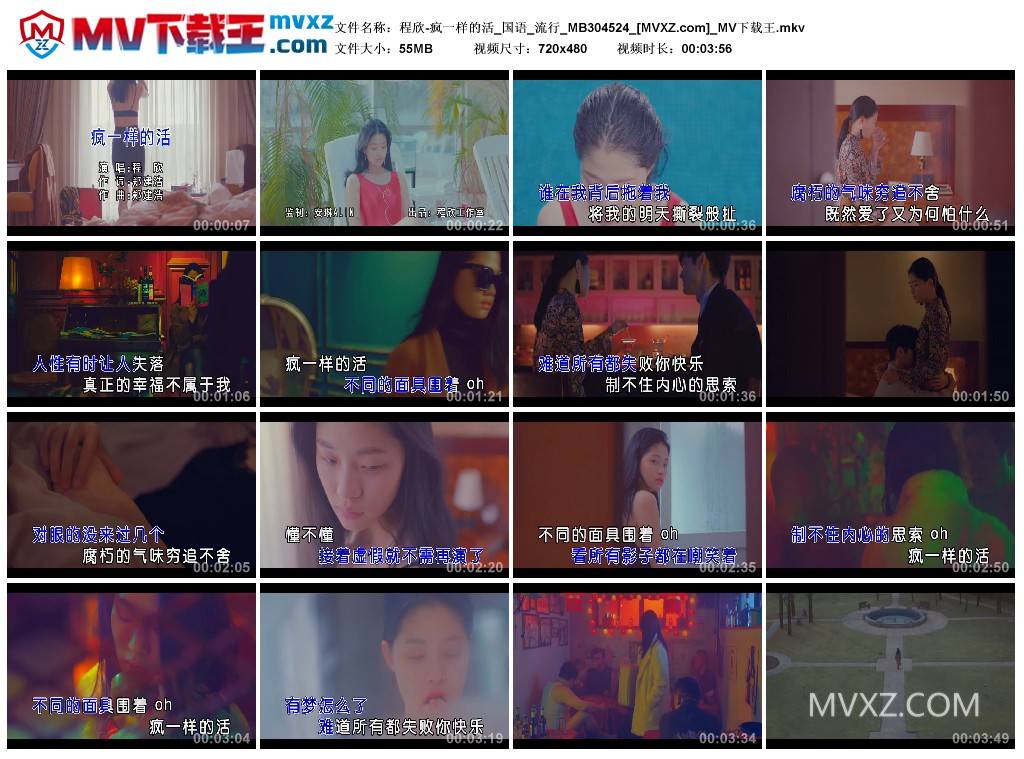 程欣-疯一样的活_国语_流行_MB304524